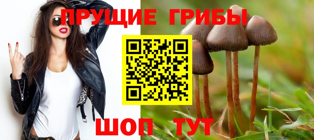 Валуйки  Галлюциногенные грибы MAGIC MUSHROOMS  Вход с VPN 